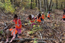 « Amy’s Minute » Whole School Forest Outing – 18th of November