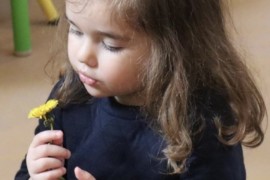 « La Minute de Léo » – « L’engagement des enfants 2023: connaître les plantes, leurs bienfaits et leurs utilisations »